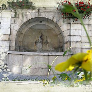 Flowers and fountain