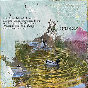 Kacsamadr - Ducks story