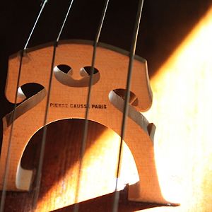 week 18 (music) : Cello