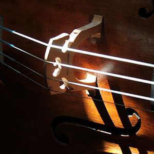 week 18 (music) : Cello (again)