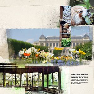 Souvenirs - Jardin des Plantes - Paris