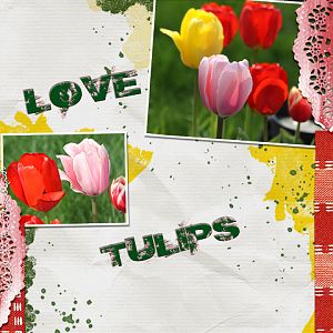 Tulips