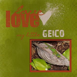 Love my gecko Geico