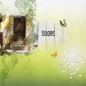 DOORS