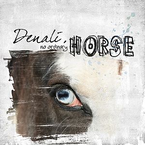 Denali- No ordinary horse