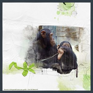 Chimpanze - Anna Lift (6.23.13)