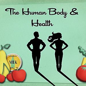 Nonfiction Signs:  Body & Health