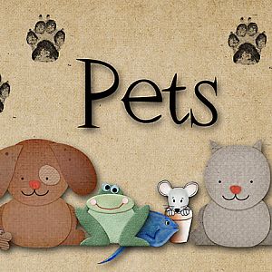 Nonfiction Signs:  Pets