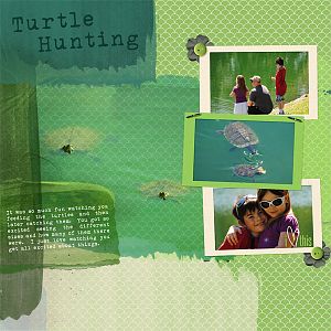 Turtle Hunting