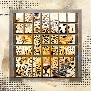Maya de Groot_July 2013_Letterbox Challenge_Caged Leopard