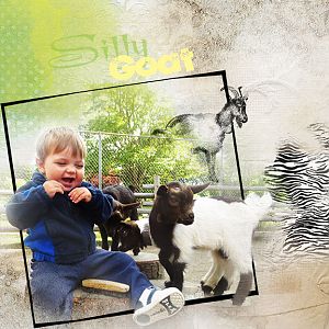 Anna Challenge-Blend It   Silly Goat