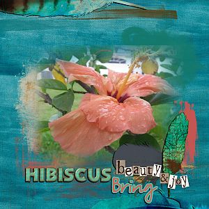 Hibiscus Bring Beauty & Joy
