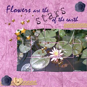 Flowers are...