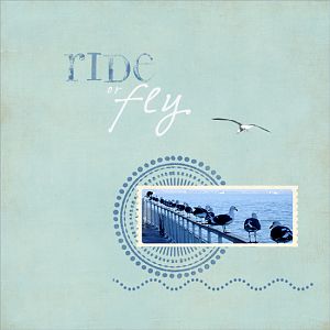 Ride or Fly