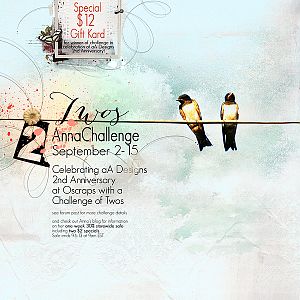 $12 GiftKard for AnnaChallenge Twos!