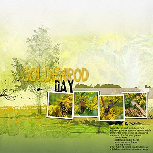 AnnaLift 9.21.13 - Goldenrod Day