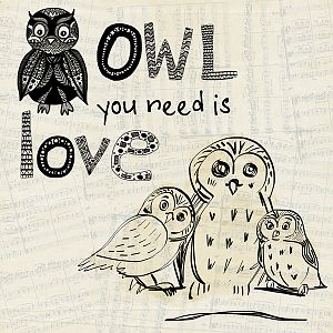 Owl you need is love