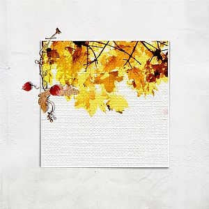 Autumn_1