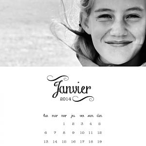 calendar 2014 - january