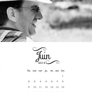 calendar 2014 - june