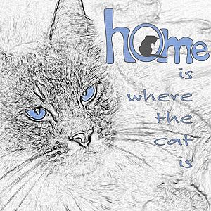 Challenge4_Art Journaling_HOME is where the cat is