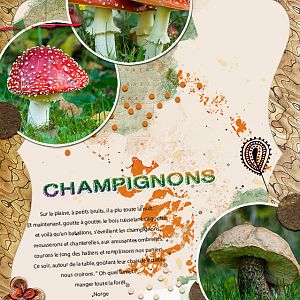 Champignons