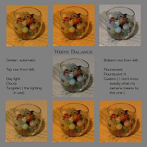 White Balance Examples