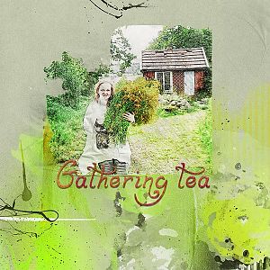 AnnaLift (12.7.13-12.13.13) - Gathering tea