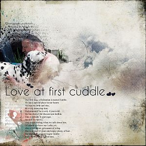 love at the first cuddle