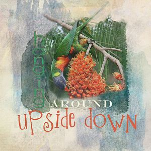 AnnaLift-Upside Down
