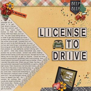 License to drive