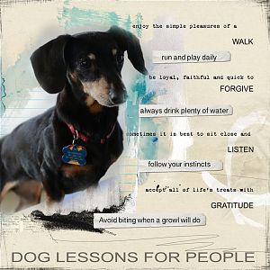 Dog Lessons