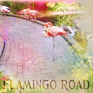 FlamingoRoad/AnnaLift
