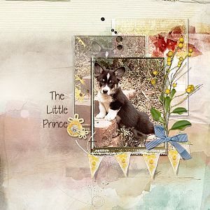 Frame It - Little Prince