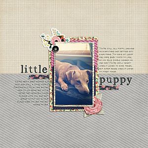 Holly - Little Puppy Dog