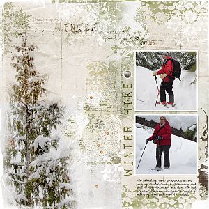 Winter Hike - Ladder 2