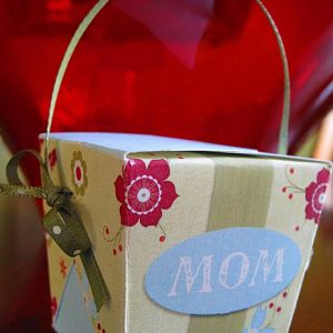 Mom-take-out-box