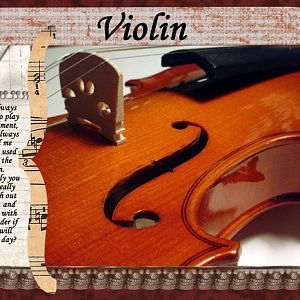 Violin