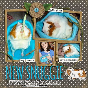 Marshmallow the Guinea Pig and her new snuggli 2013
