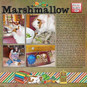 About Marshmallow the Guinea Pig