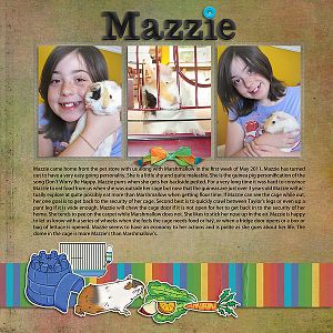 About Mazzie the Guinea Pig