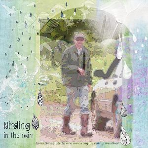 Birding in the Rain