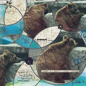 EYCC - Going round in Circles - Bear