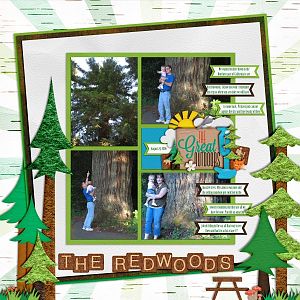 Redwoods 2006