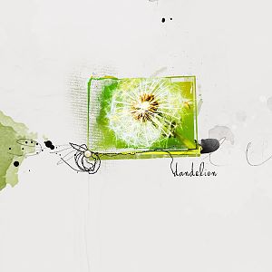 dandelion