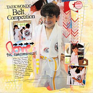 Taekwondo Belt