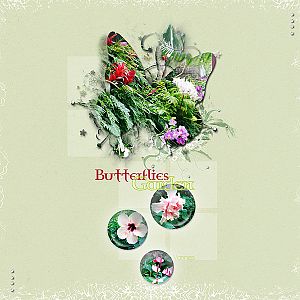 butterflies garden