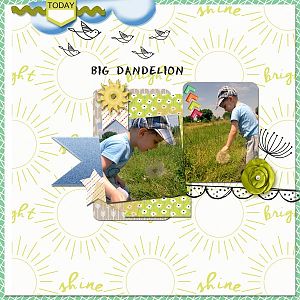 dandelion