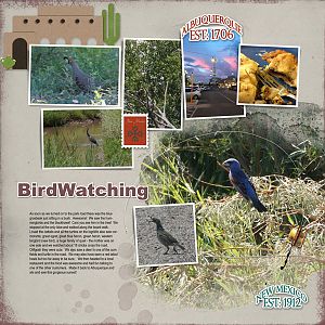 2014Jul12 Bosque del Apache 2