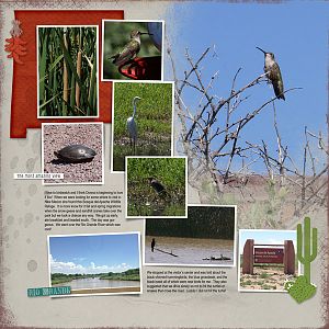 2014Jul12 Bosque del Apache